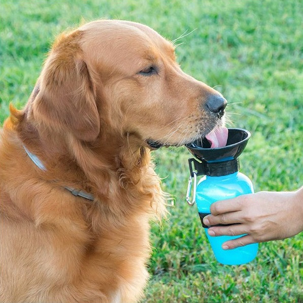Cestovní lahev na vodu pro psy Innovagoods (V0100830)