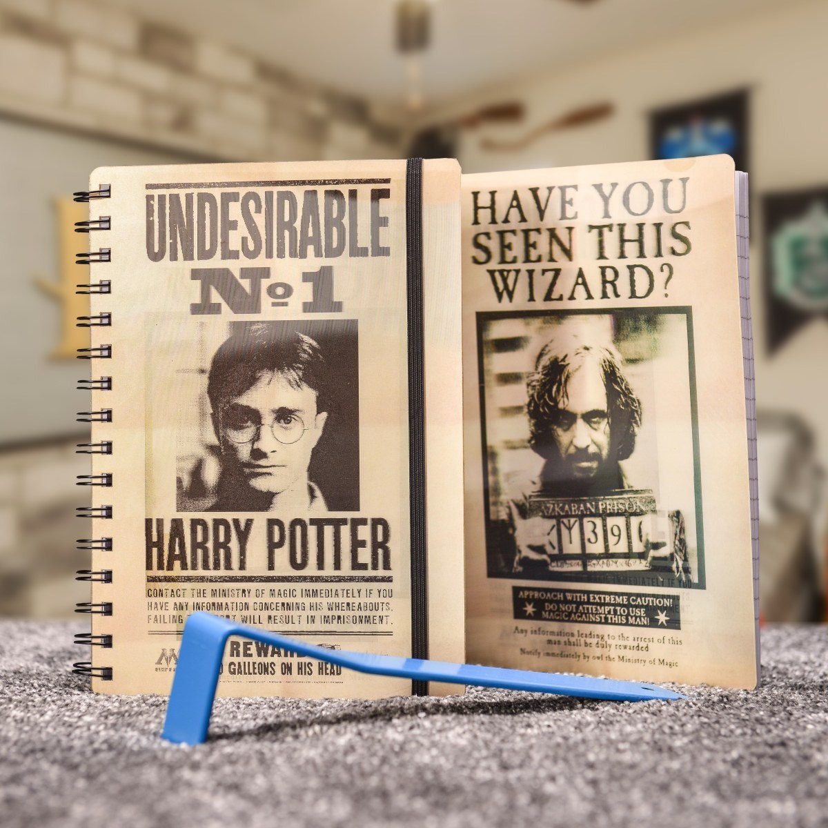 Harry Potter Kidboxeo