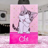 Dívčí Kidboxeo Chi