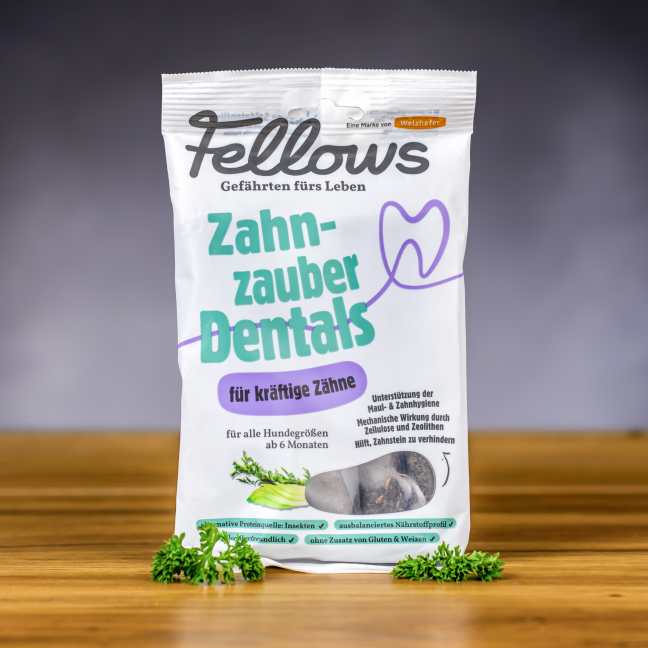 Fellows Hmyzí dentálne tyčinky 160 g