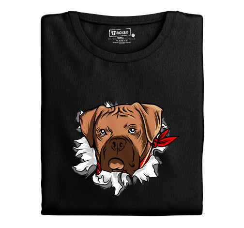 E-shop Dámske tričko s potlačou "Boxer"
