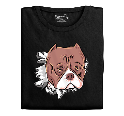 E-shop Dámske tričko s potlačou "Pitbul"